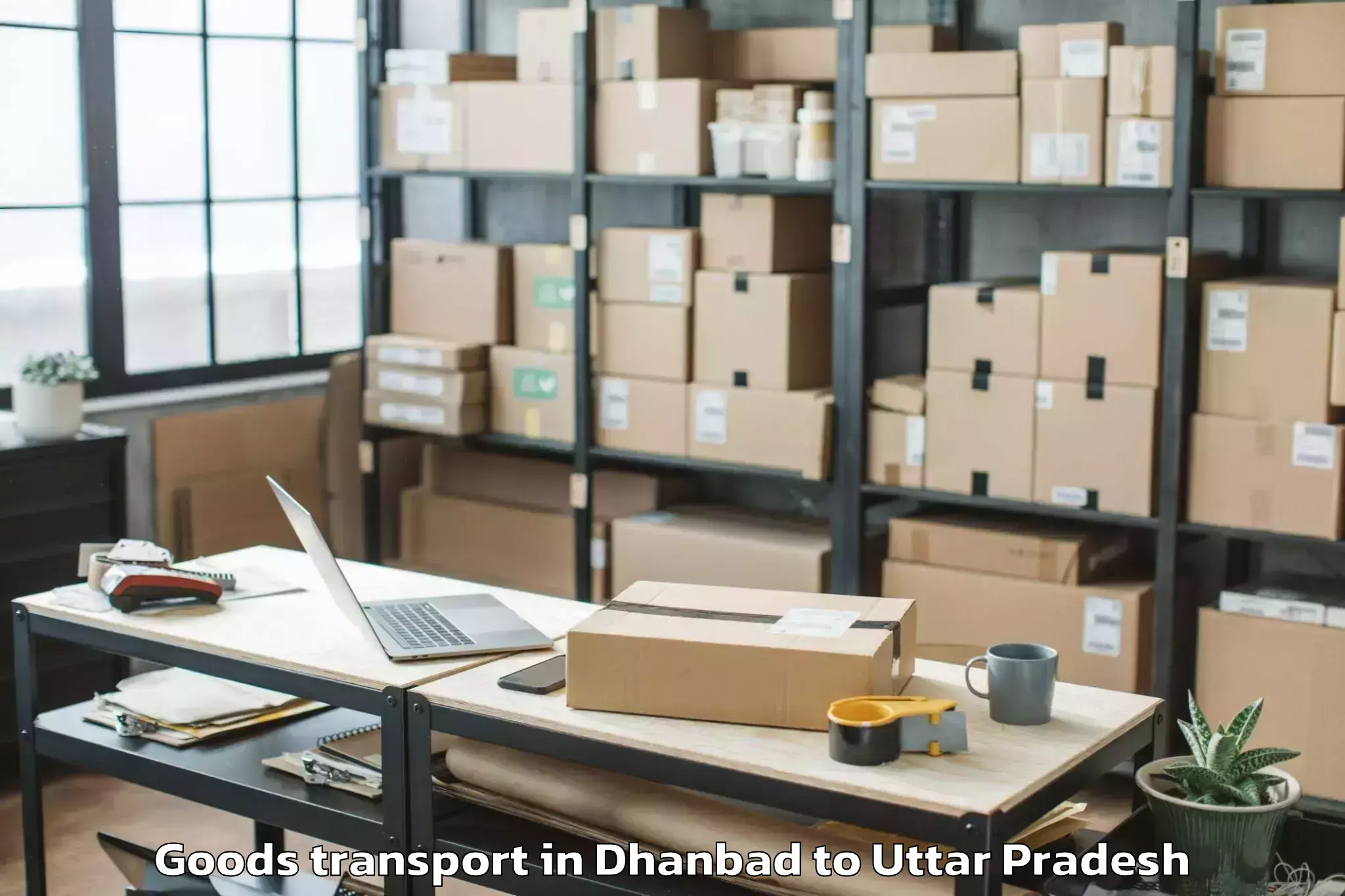 Top Dhanbad to Nehru Gram Bharati Vishwavidya Goods Transport Available